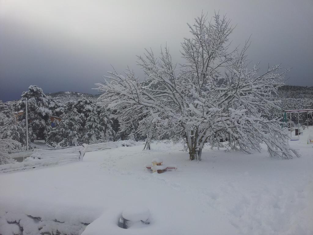 Bastide Napoleon Villa Séranon Cameră foto